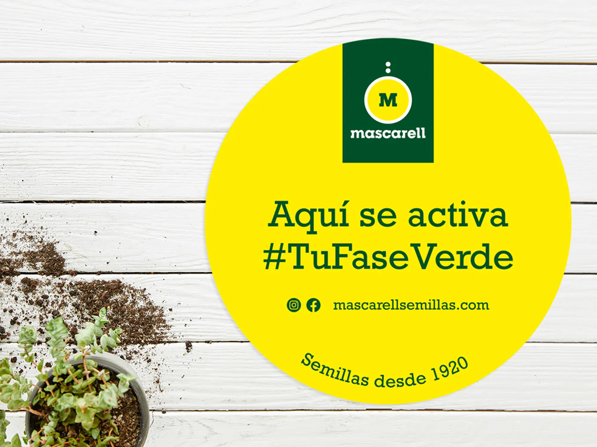 Mascarell Semillas