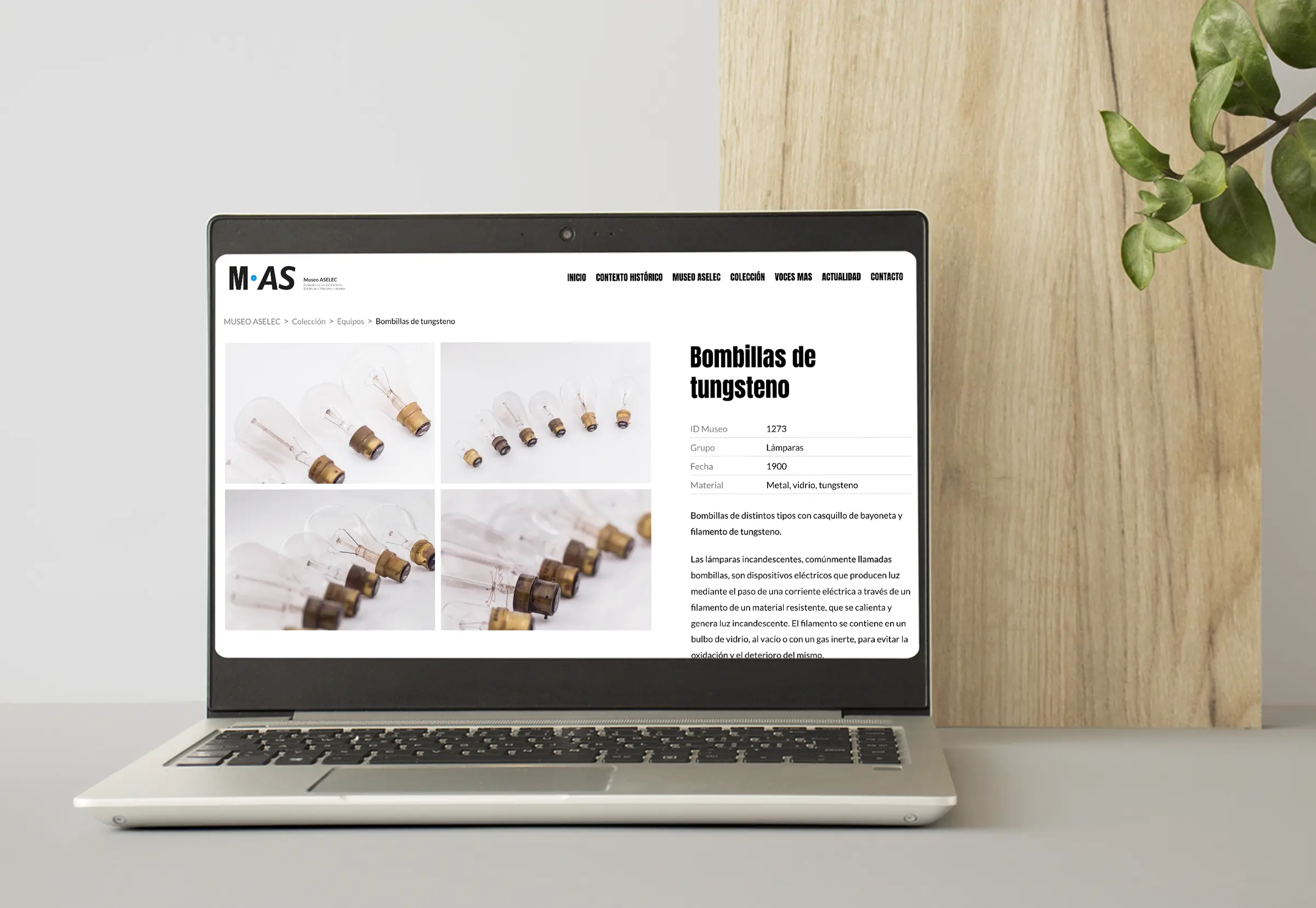 05_ordenador_aselec_abranding