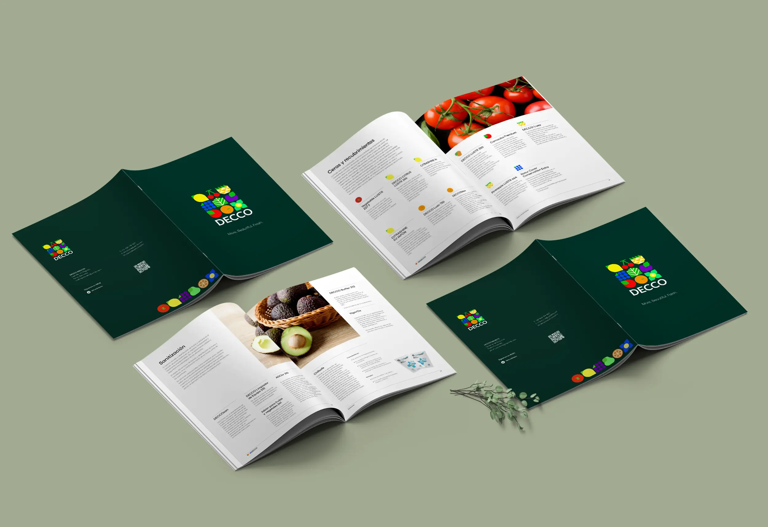 01_inicio_decco_abranding