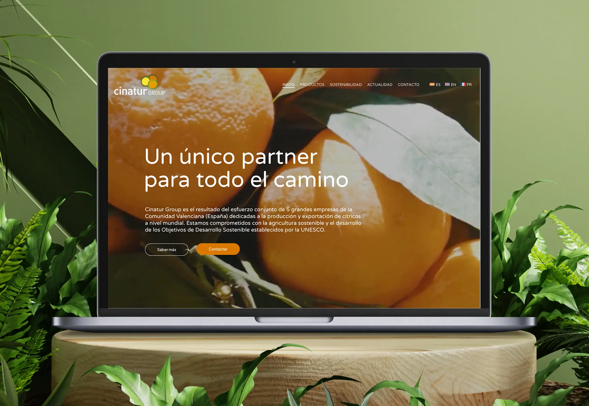 02_incio_cinatur_abranding