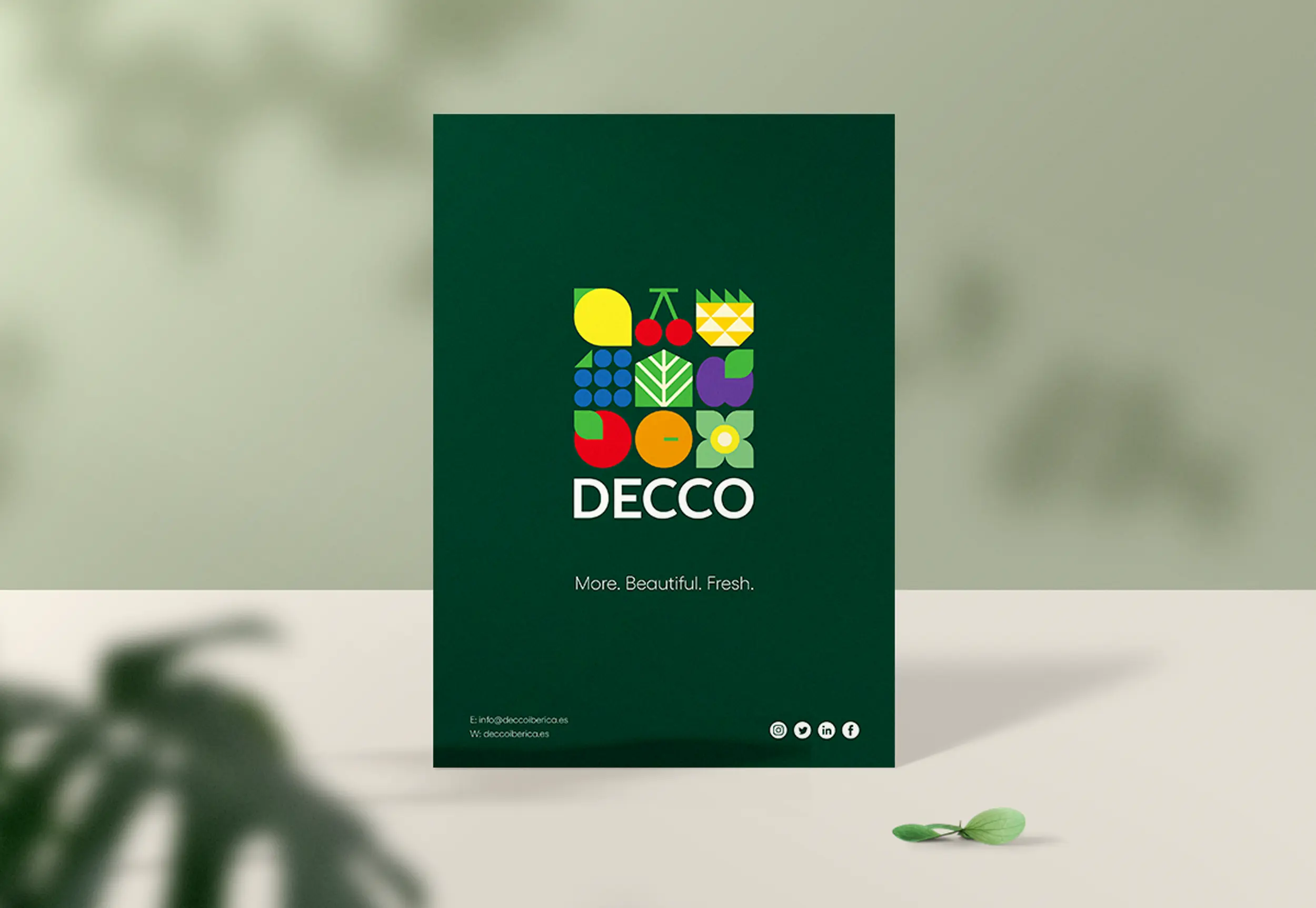 05_catalogo_decco
