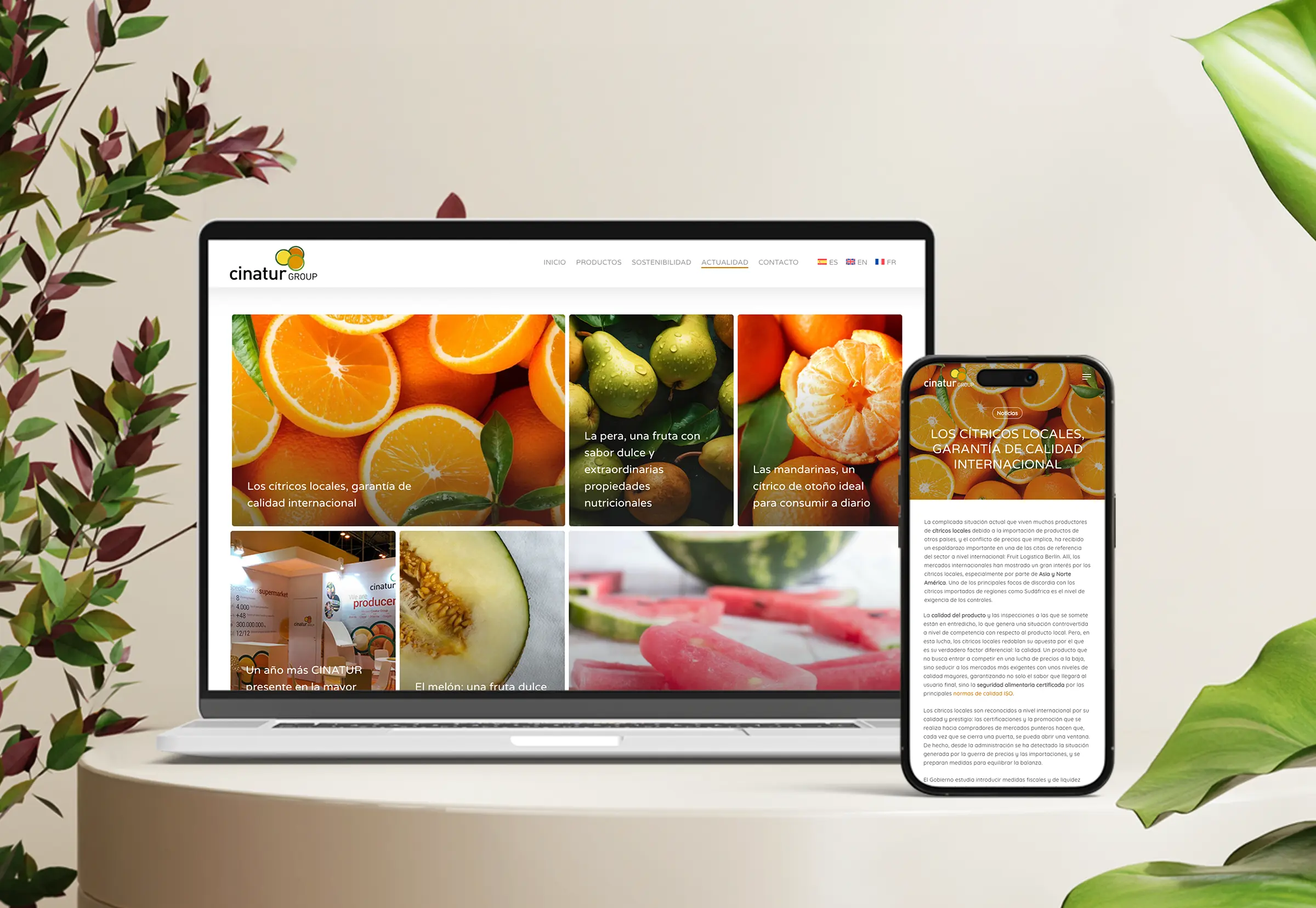 05_ordenador_cinatur_abranding