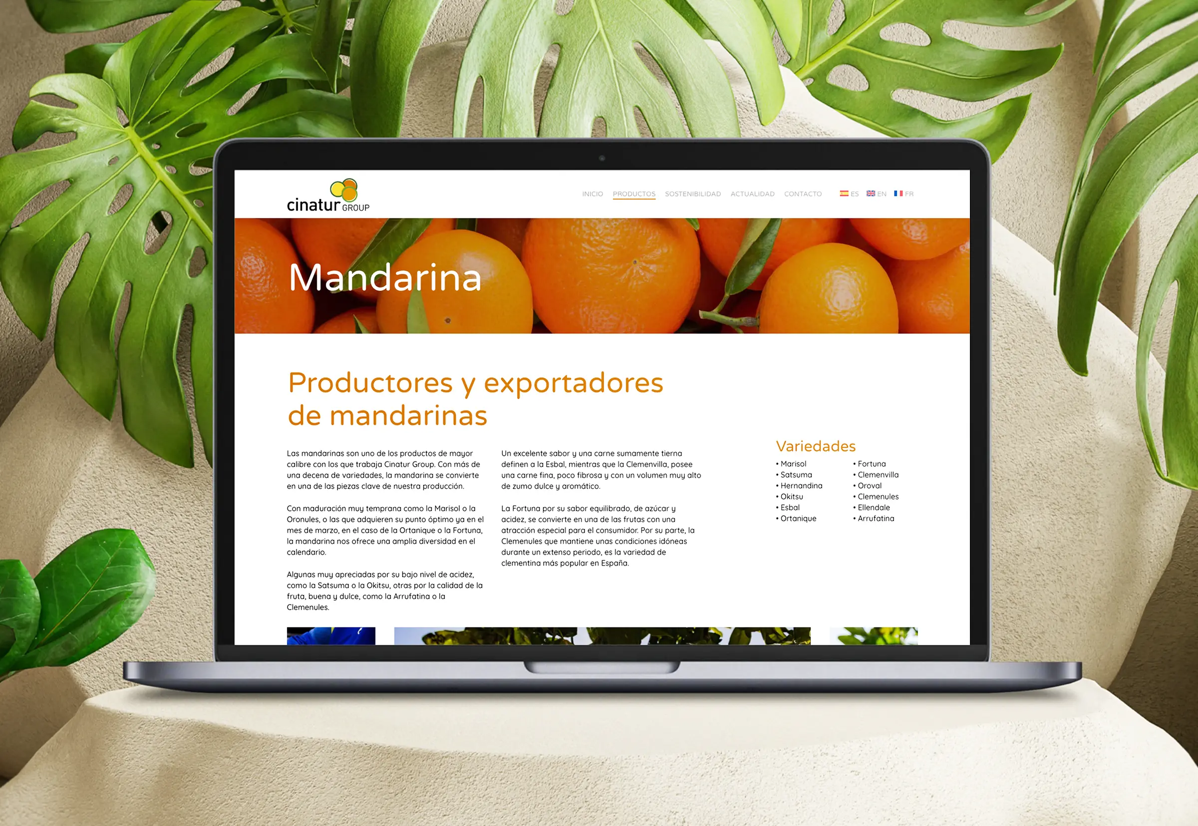 06_cierre_cinatur_abranding