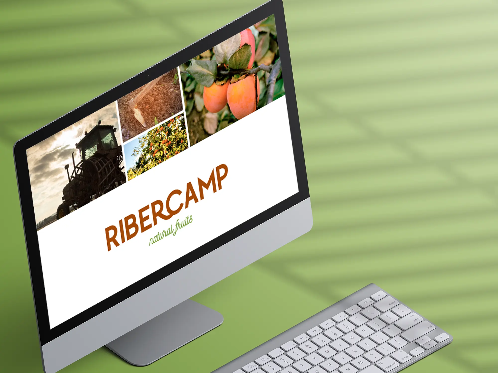 01ordenador_ribercamp