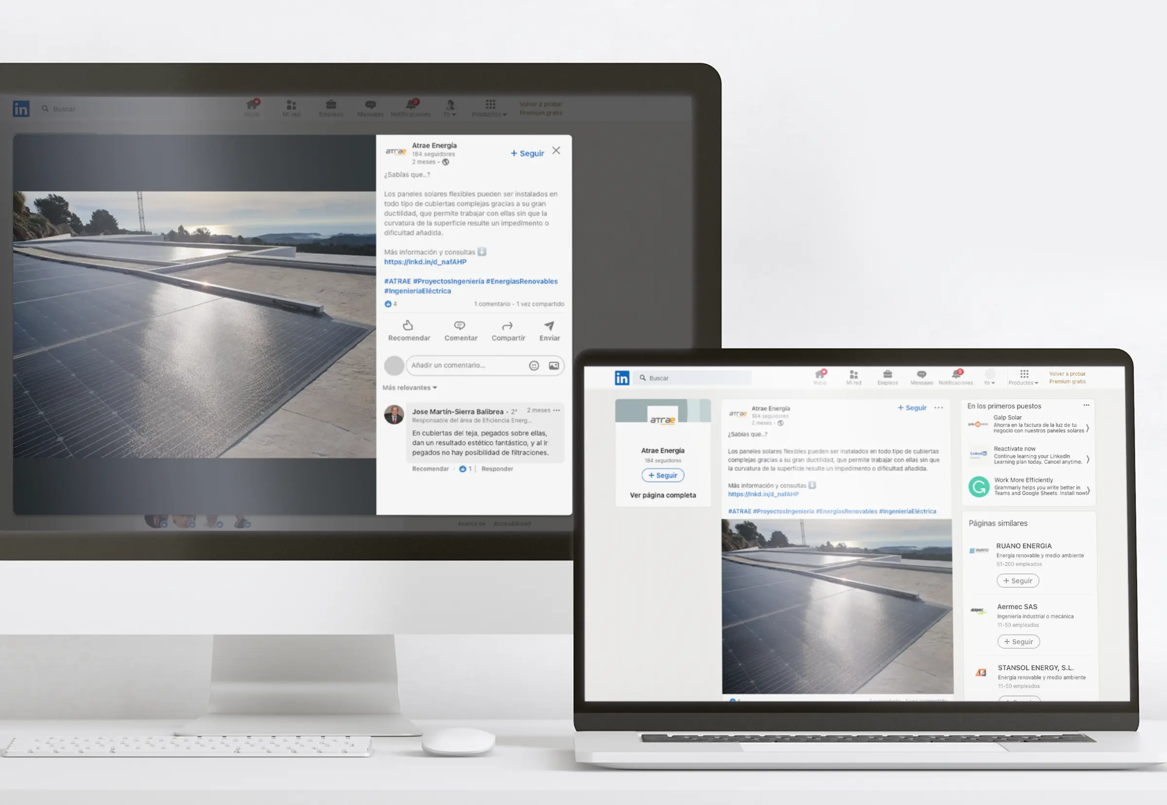 05_foto_atrae_abranding (1)