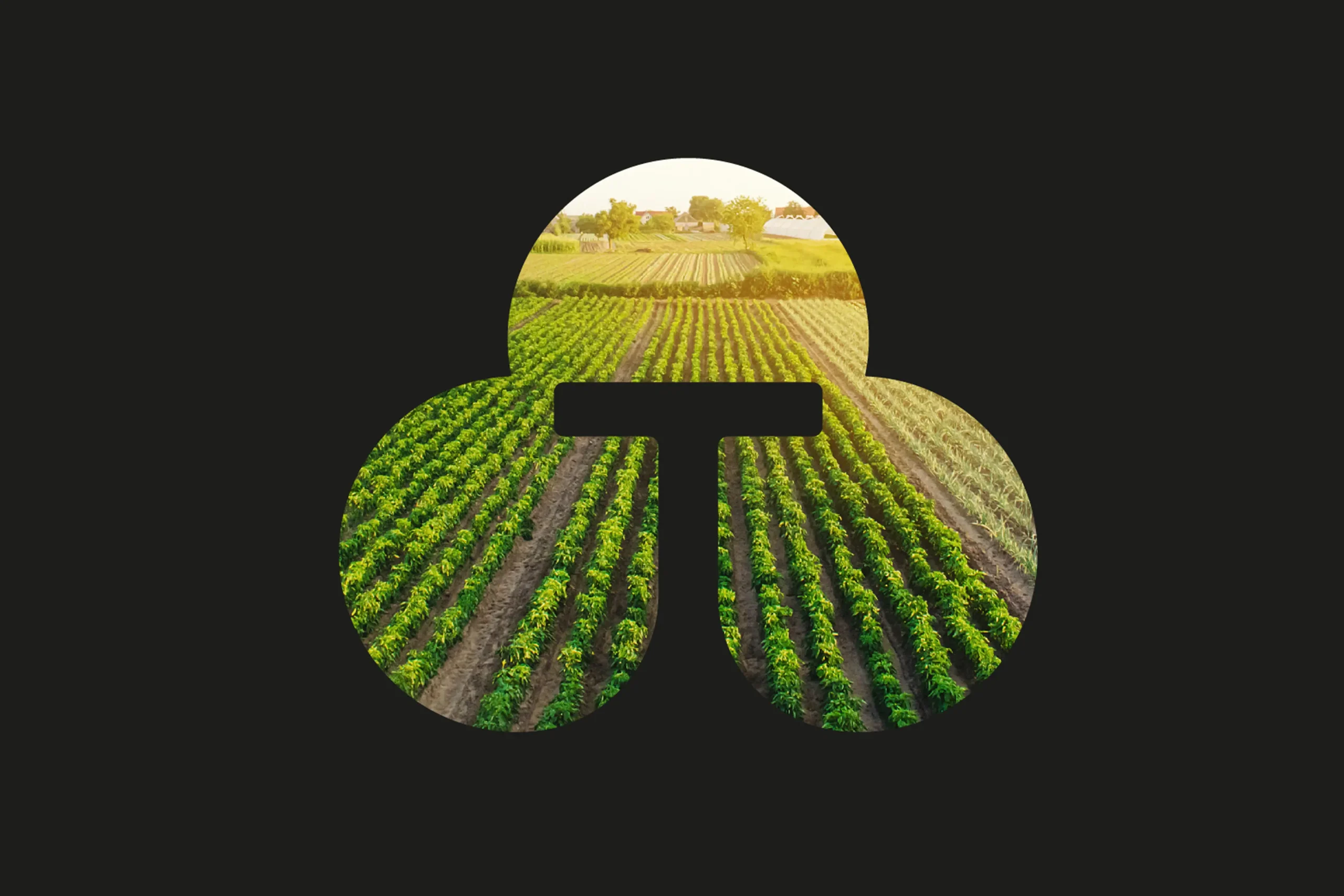 campo-tarazona-abranding